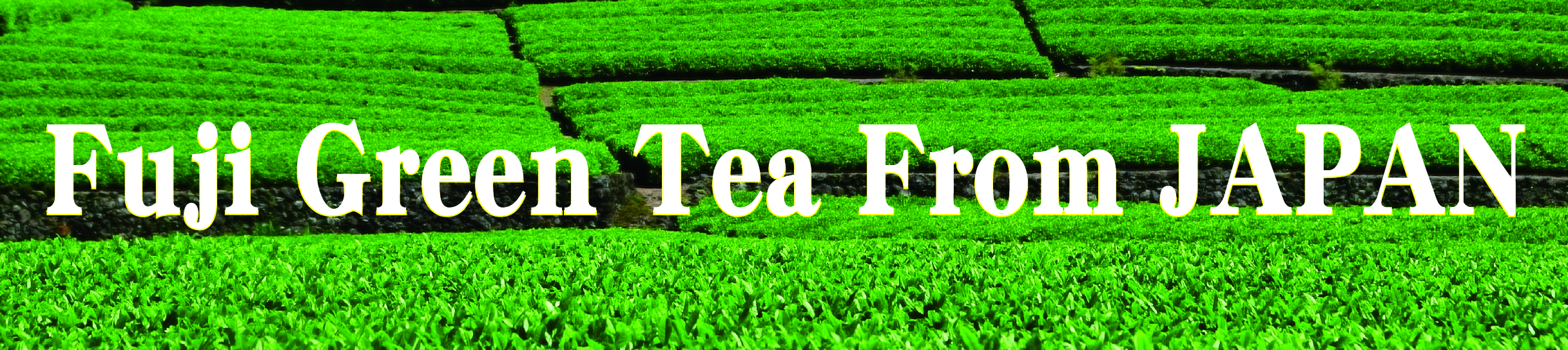 Fuji Green Tea From Japan